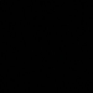 Meet your Posher, Hollie